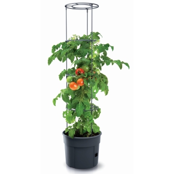 Doniczka do uprawy pomidorów TOMATO Grower 30 h24,5 - 12 L